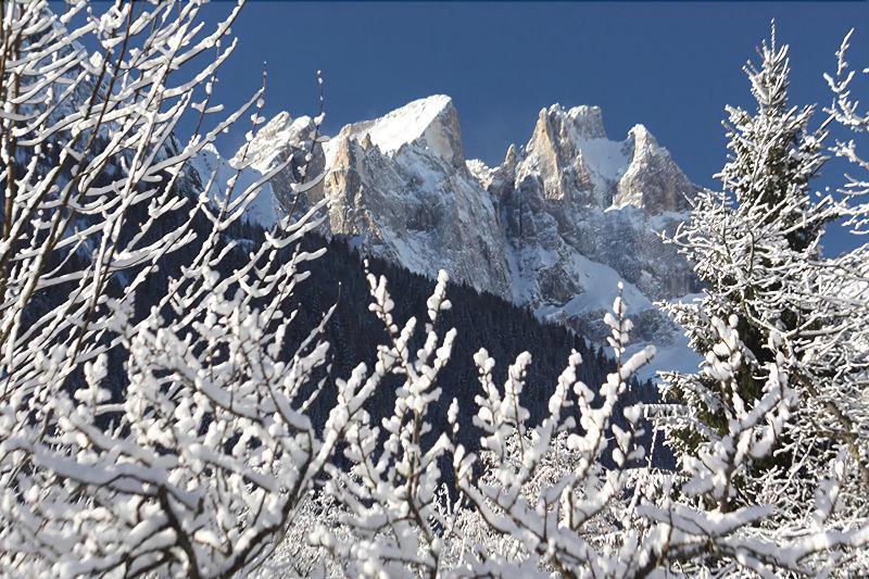 Hotel Stella Alpina Falcade Exteriér fotografie