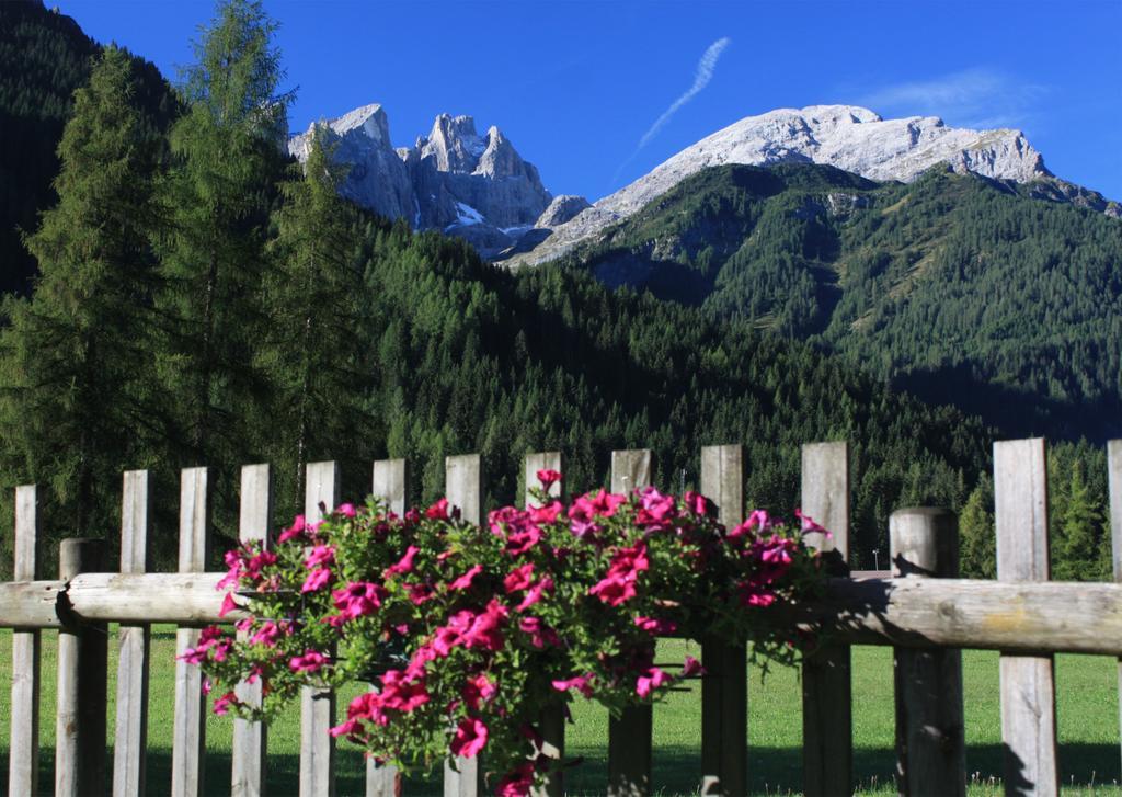 Hotel Stella Alpina Falcade Exteriér fotografie