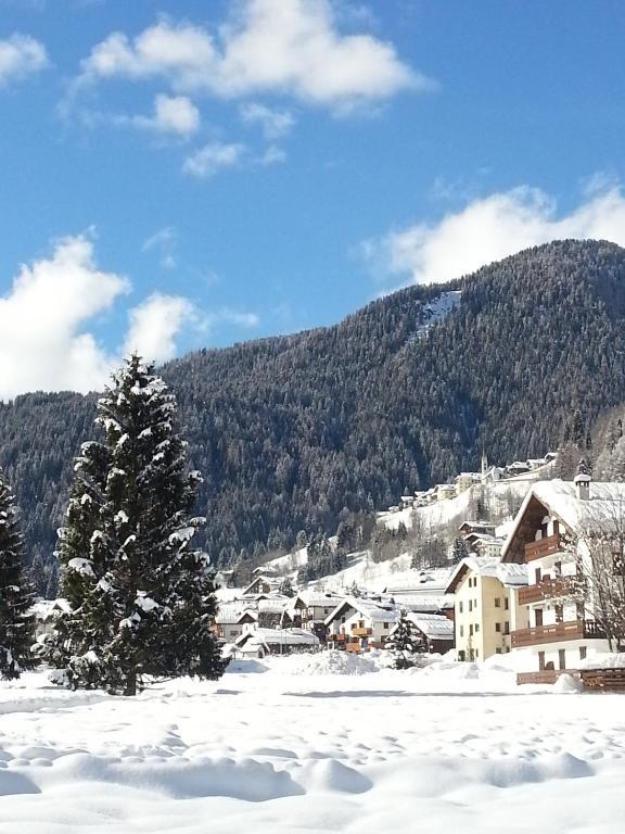 Hotel Stella Alpina Falcade Exteriér fotografie